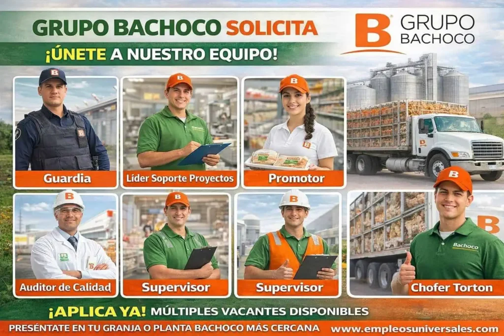 Bachoco México 2026